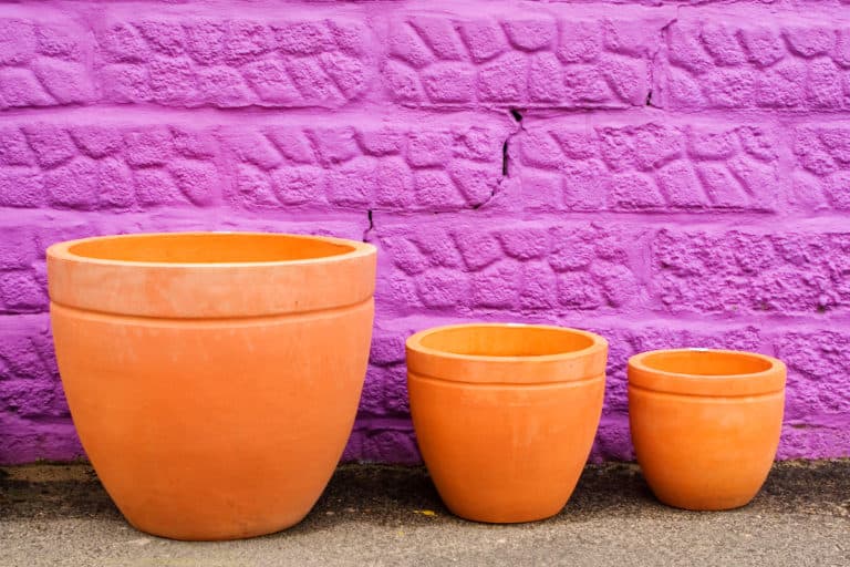 The Best Paint For Terracotta Pots