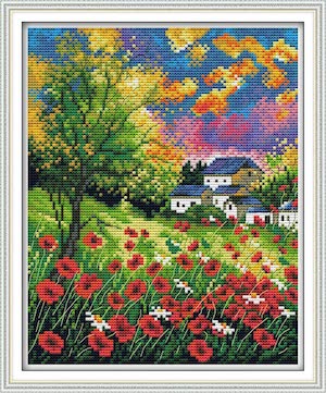 Maydear Stamped Embroidery Kit for Beginners With Pattern, Cross Stitch  Kit, Color Threads and Embroidery Scissors Starry Sky 