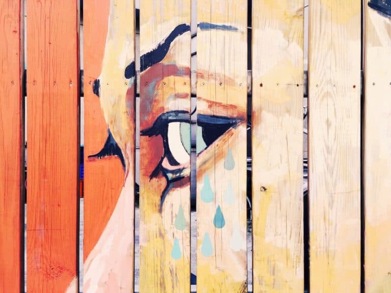 The Best Paint For Plywood