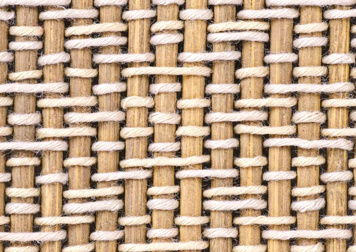 Bamboo Vs Rattan The Important Differences The Creative Folk