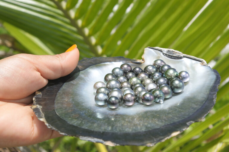 How To Paint An Oyster Shell