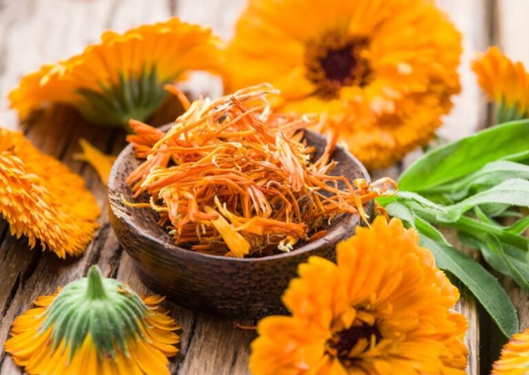 Dyeing With Marigolds (Complete Guide) 