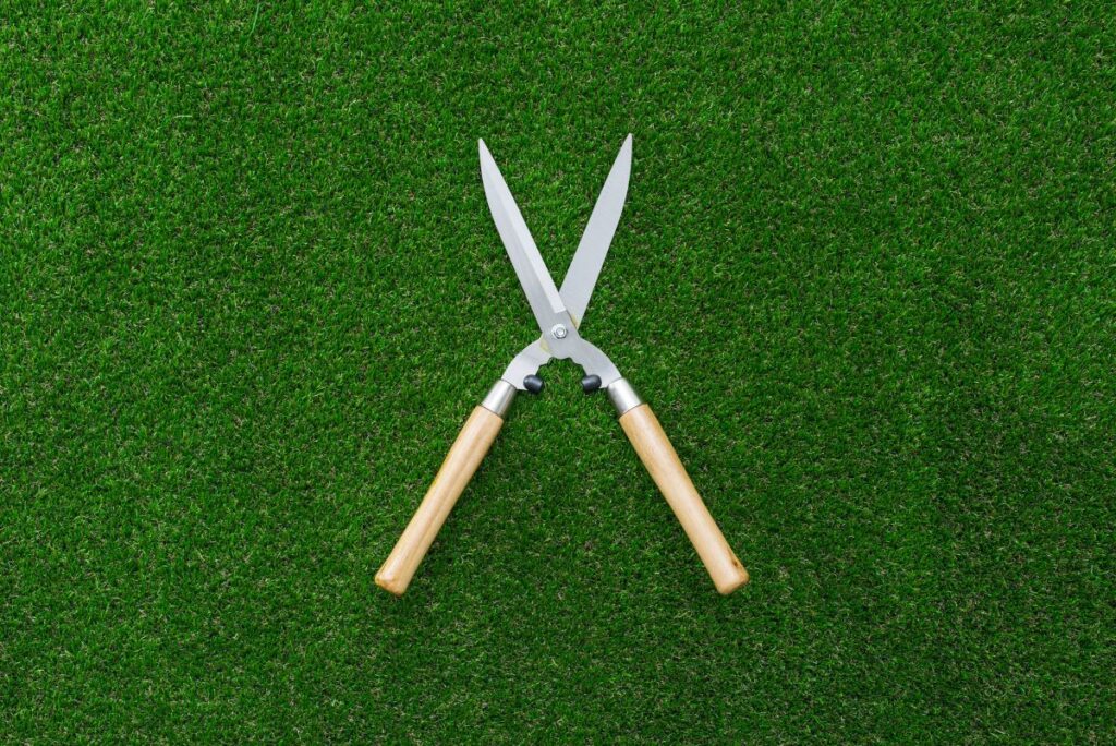 Shears Vs Scissors The Creative Folk