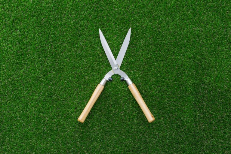 Shears Vs Scissors